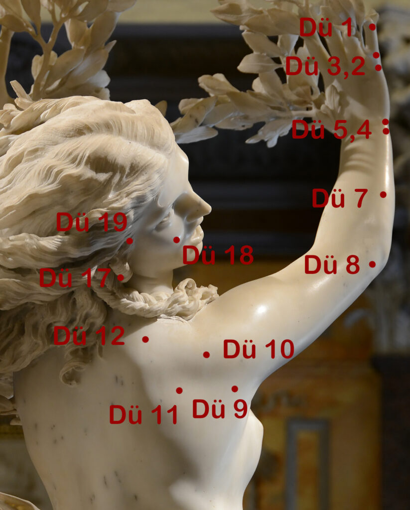 Dünndarmmeridian Punkte