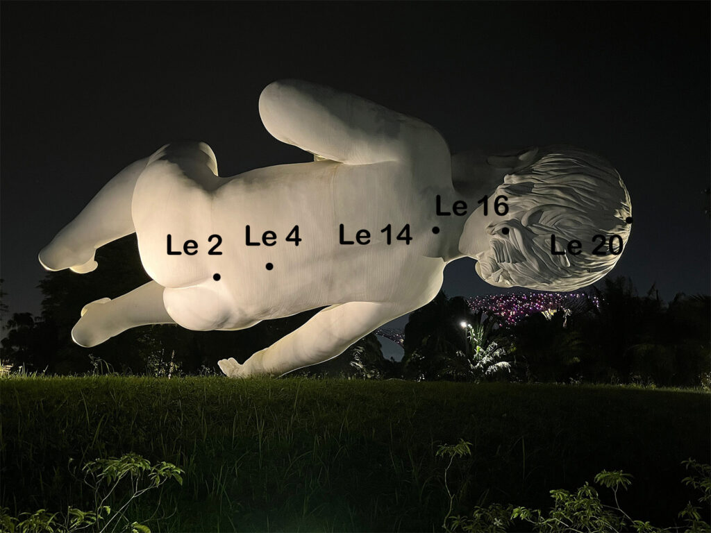 Lenkergefäß Punkte am Rücken