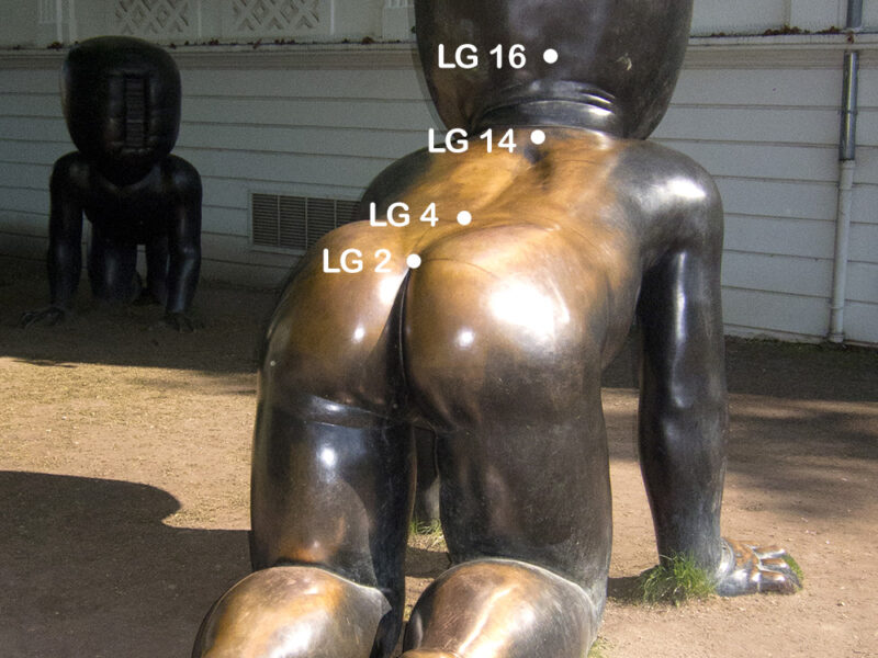 Lenkergefäß am Rücken