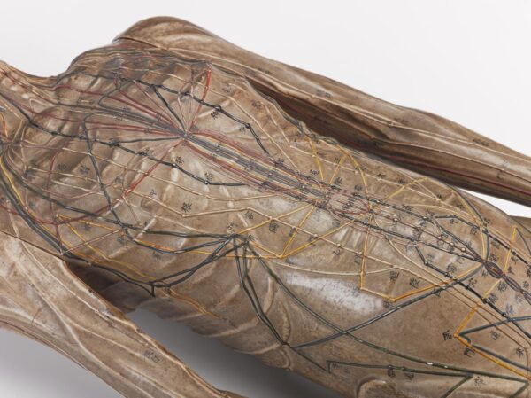 Hölzernes Akupunkturmodell, 17. Jhd.