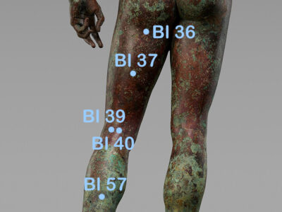 Blasenpunkte am Bein